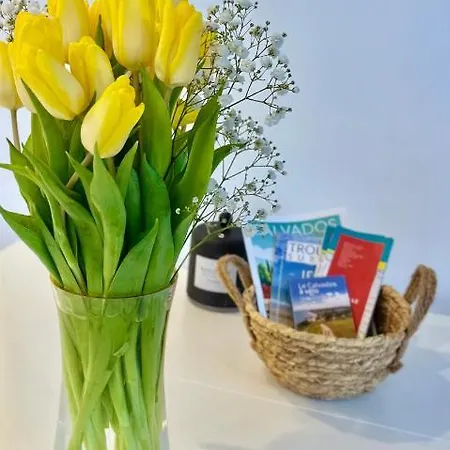 La Pause A La Appartement